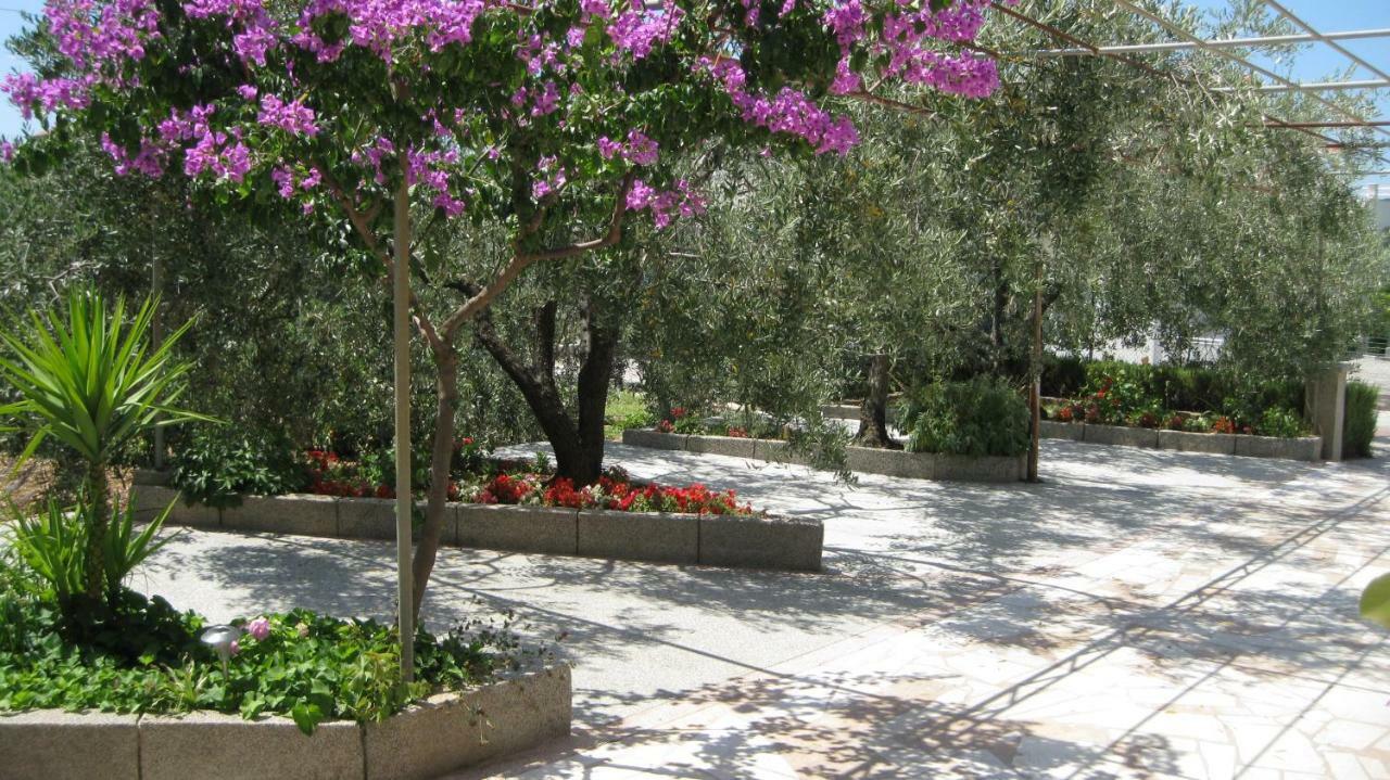 Apartments Maslina Trogir Kültér fotó