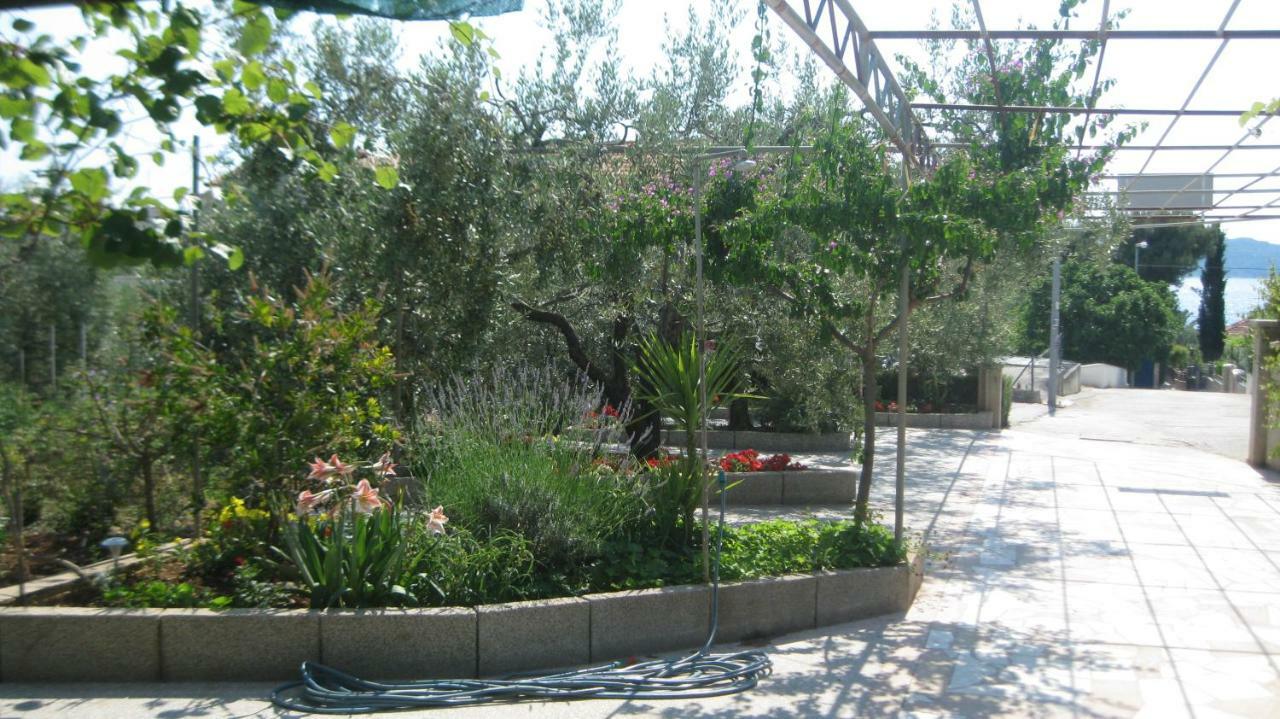Apartments Maslina Trogir Kültér fotó